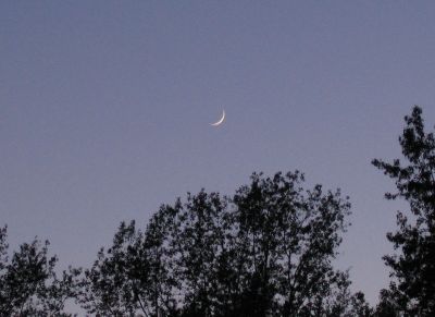 Луна вечером 29 мая 2006 г.
Фаза 0,07.
