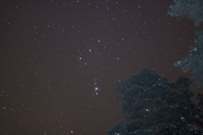 Южная часть созвездия Ориона
В центре - М42
