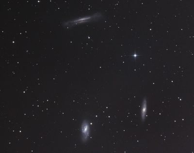 Галактики NGC 3628, M 65, M 66
