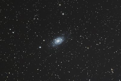 Галактика NGC 2403
