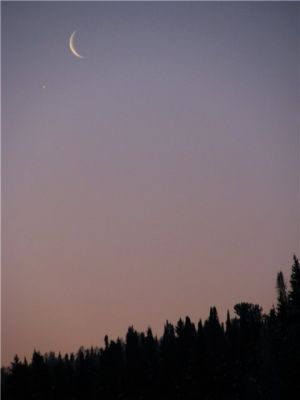 Луна и Венера
1 марта 2011 г.
