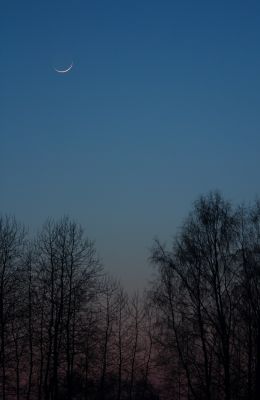 Лунный серп
23 февраля 2012 г.
