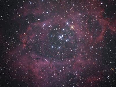 Туманность "Розетка" (NGC 2244)
