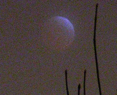 Лунное затмение 4 марта 2007 г.
