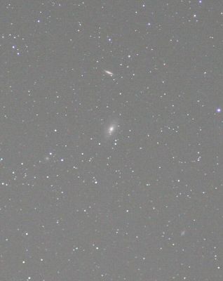 Четыре галактки
M 81, M 82, NGC 3077, NGC 2976 (справа ниже центра)
