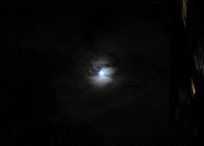Лунное гало
18 ноября 2010 г.
