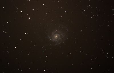Галактика M 101

